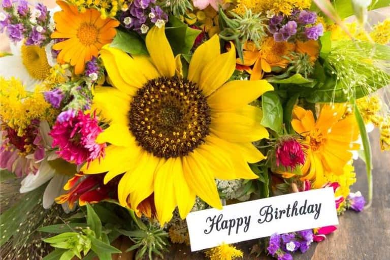 15 Thank You For the Birthday Flowers Wording Examples