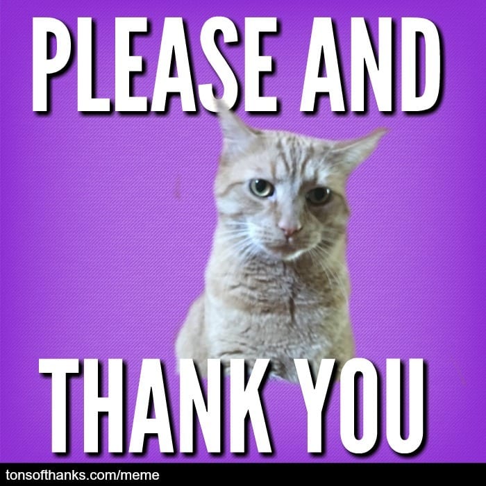 51 Nice Thank You Memes With Cats