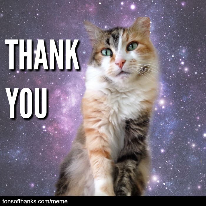 animal thank you meme