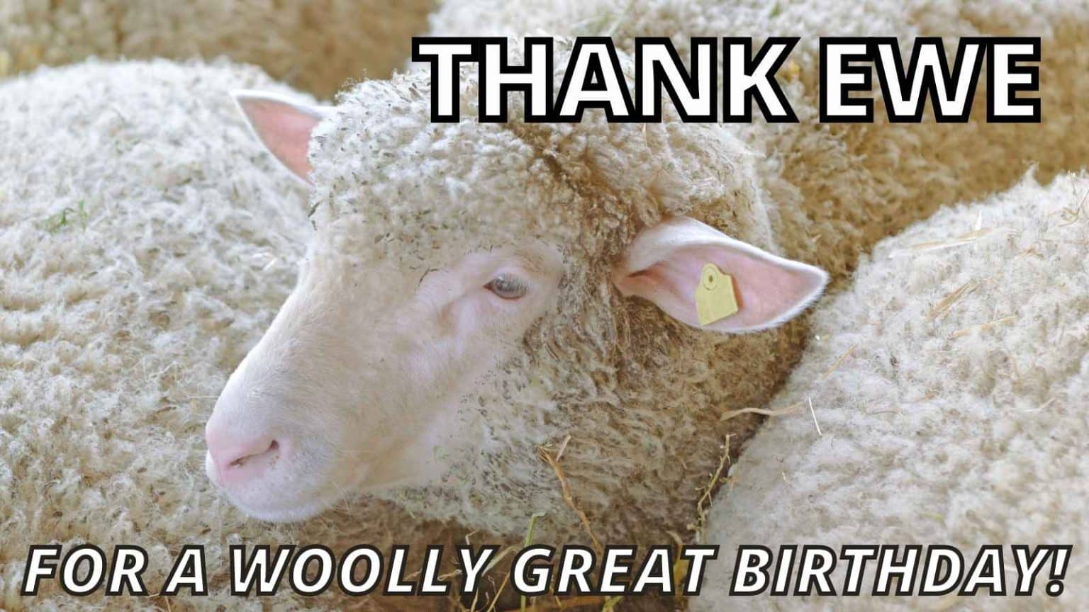 17 Nice Thank You for the Birthday Wishes Memes and Puns