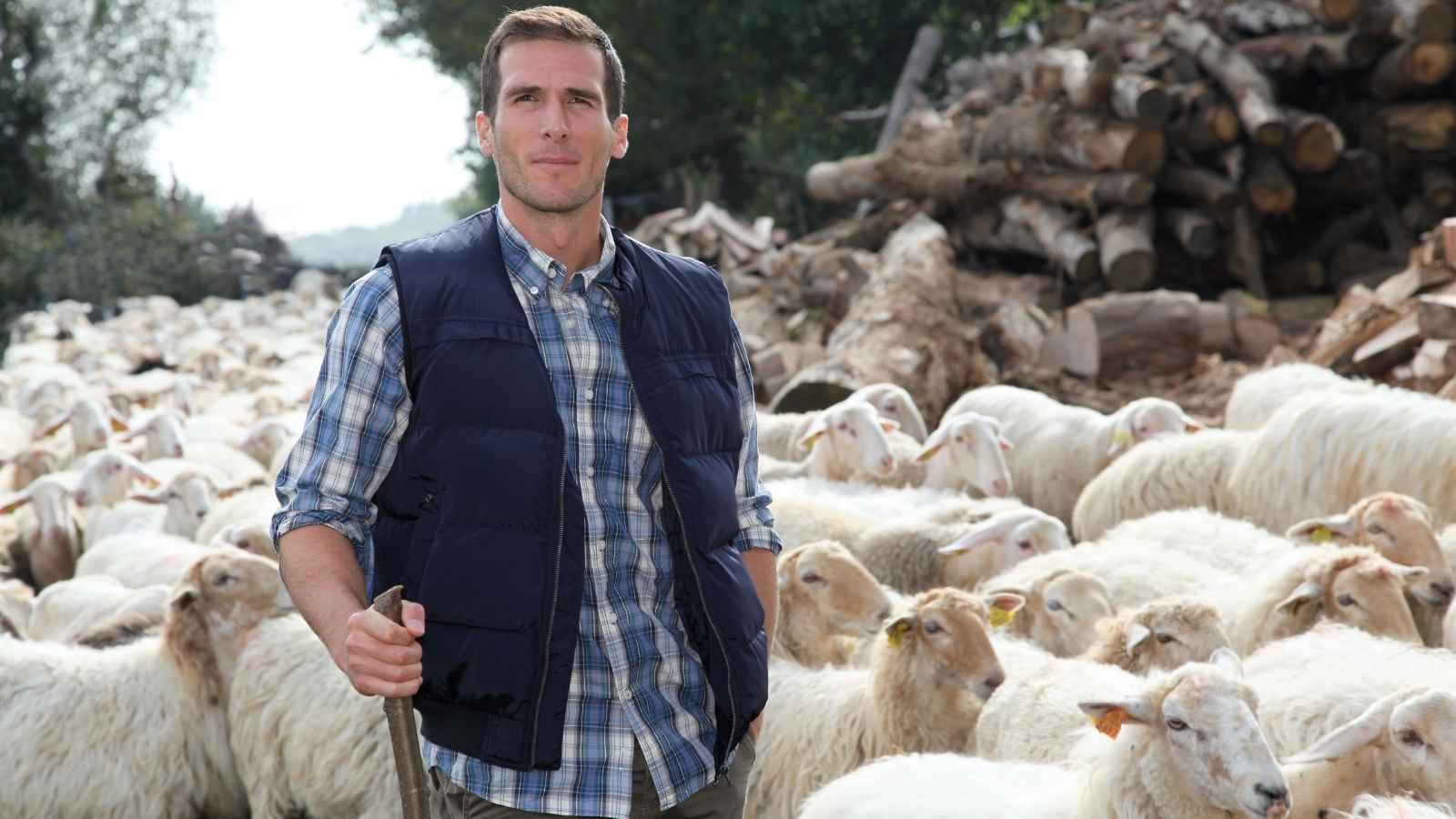 Pastor With Sheep