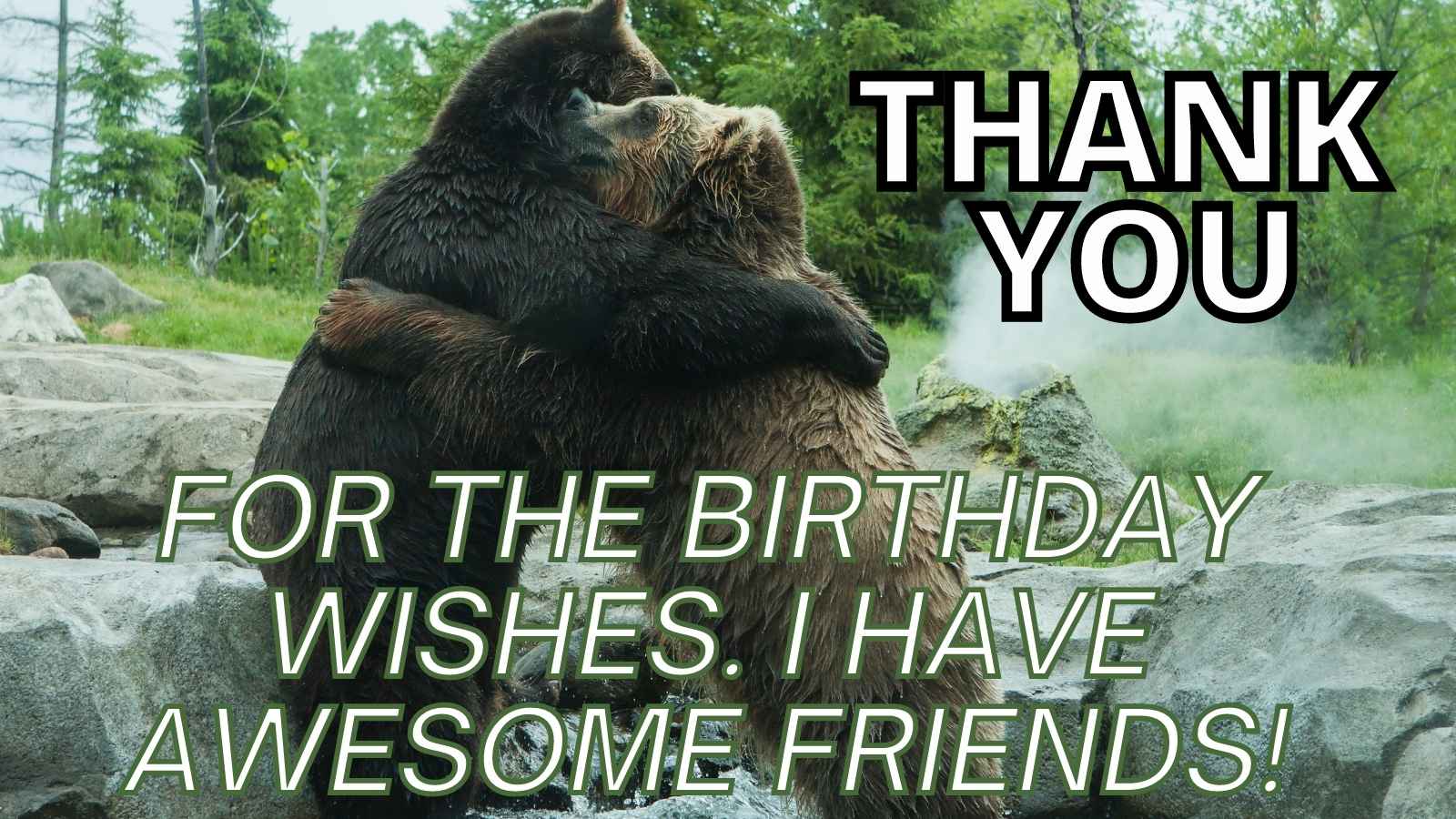 Funny Thank You Meme