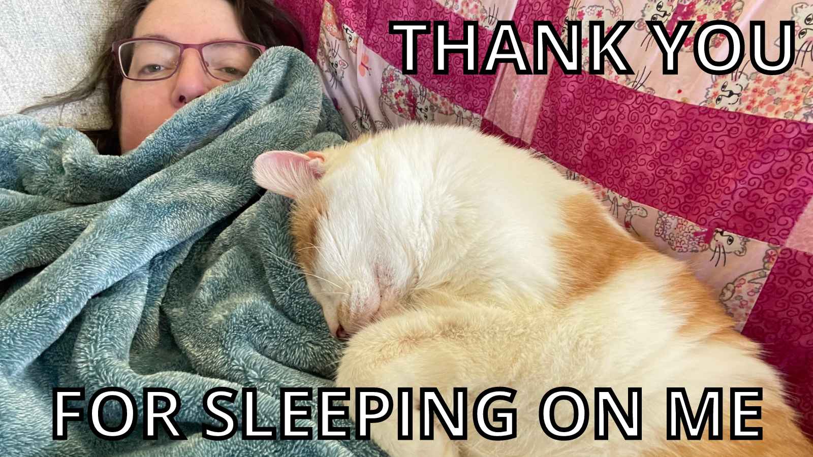 Cat Thank You Meme - Thank You For Sleeping On Me