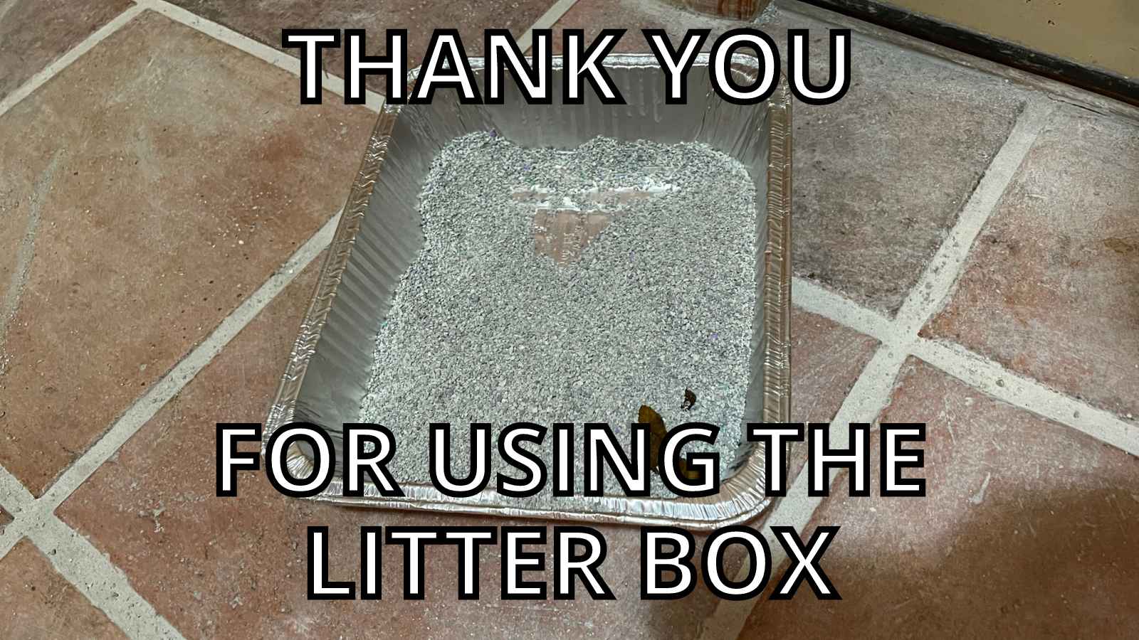 Cat Thank You Meme - Thank You For Using The Litter Box