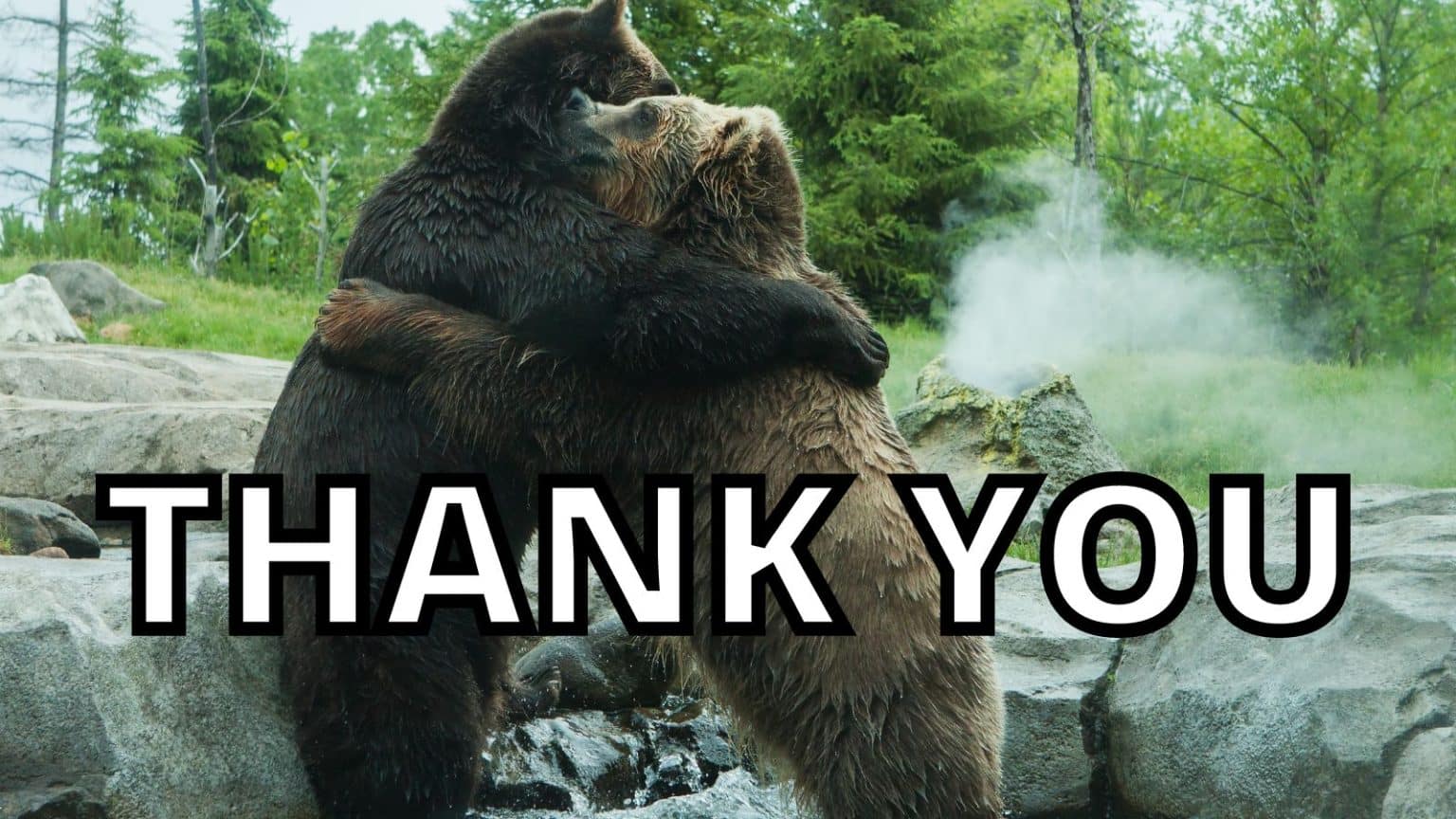 33 Of The Cutest Thank You Memes And Puns Get Ready To Smile