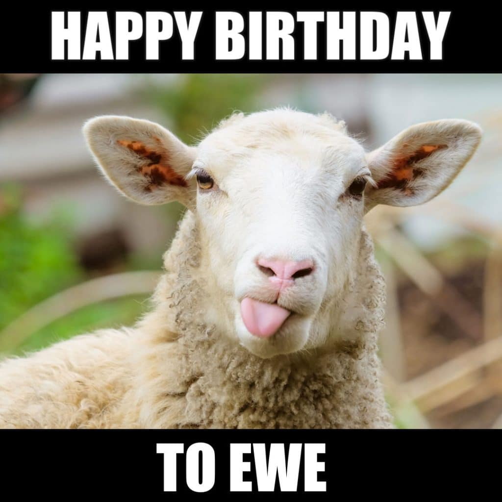 Funny Sports Birthday Memes At James Velarde Blog Funny Sports Birthday Memes At James Velarde Blog