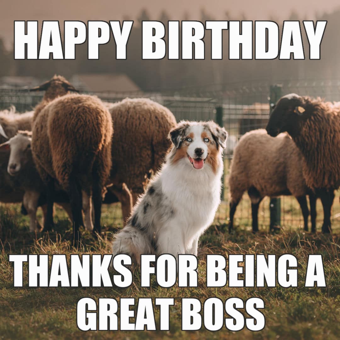 thanks birthday meme