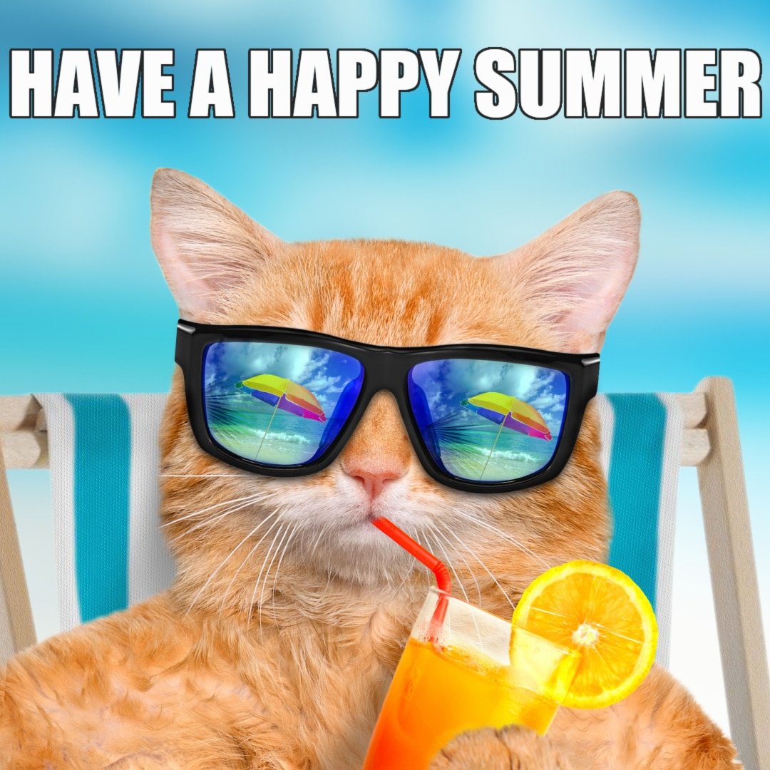 Happy Summer Meme