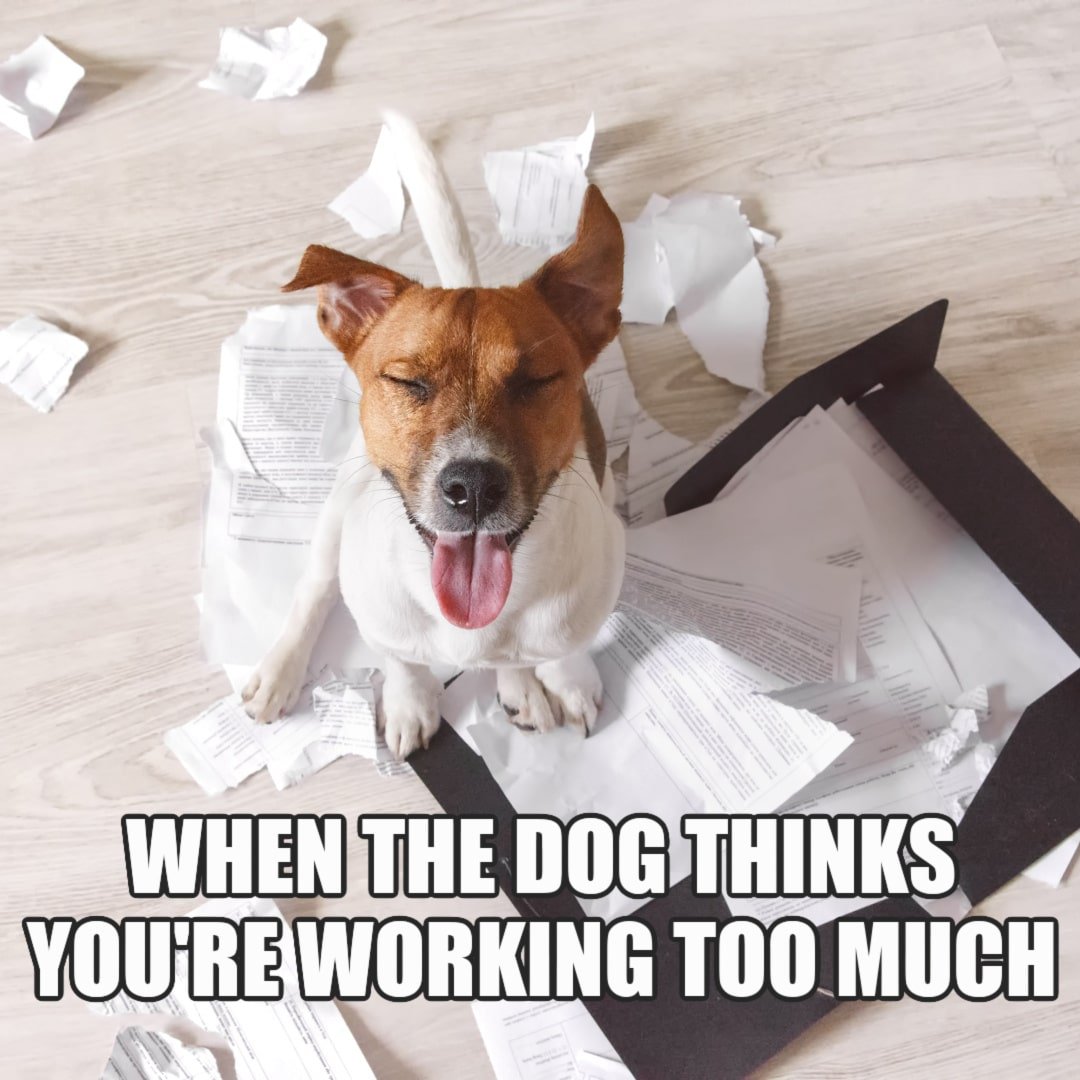 100 Funny Work Memes that Will Make You LOL