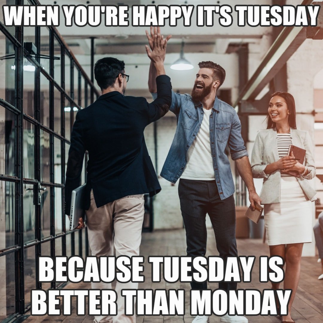 happy tuesday meme