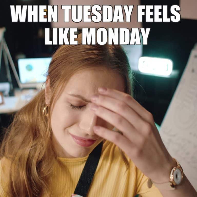 16 Funny Tuesday Memes To Make You Laugh Tacos Included 