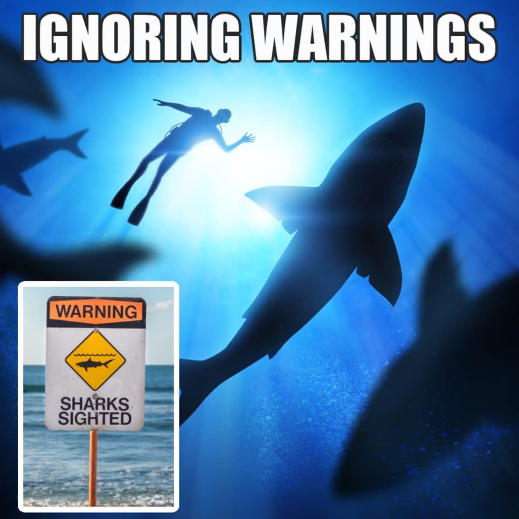 12 Silly Shark Memes to Make You Laugh