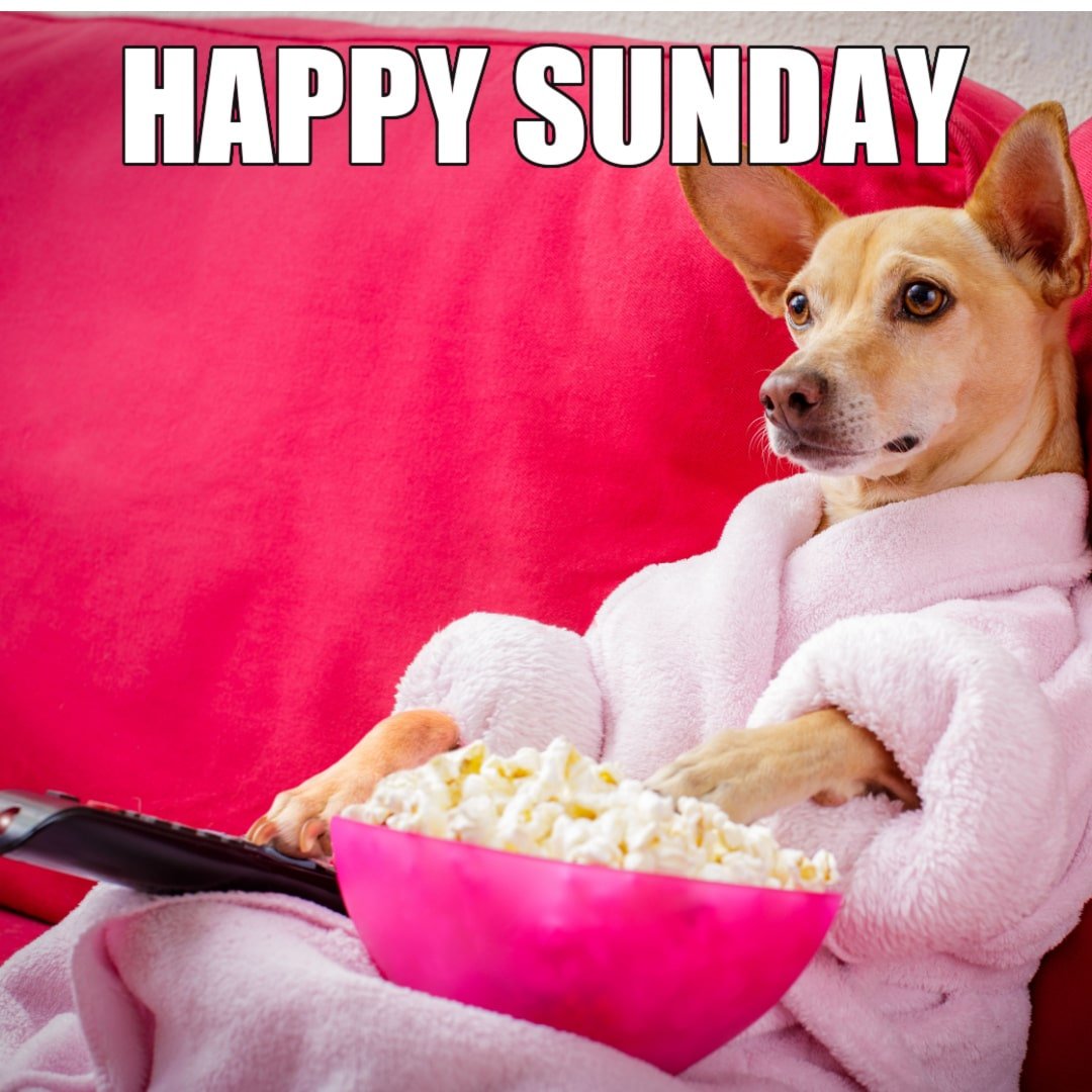 Sunday Meme - Happy Sunday