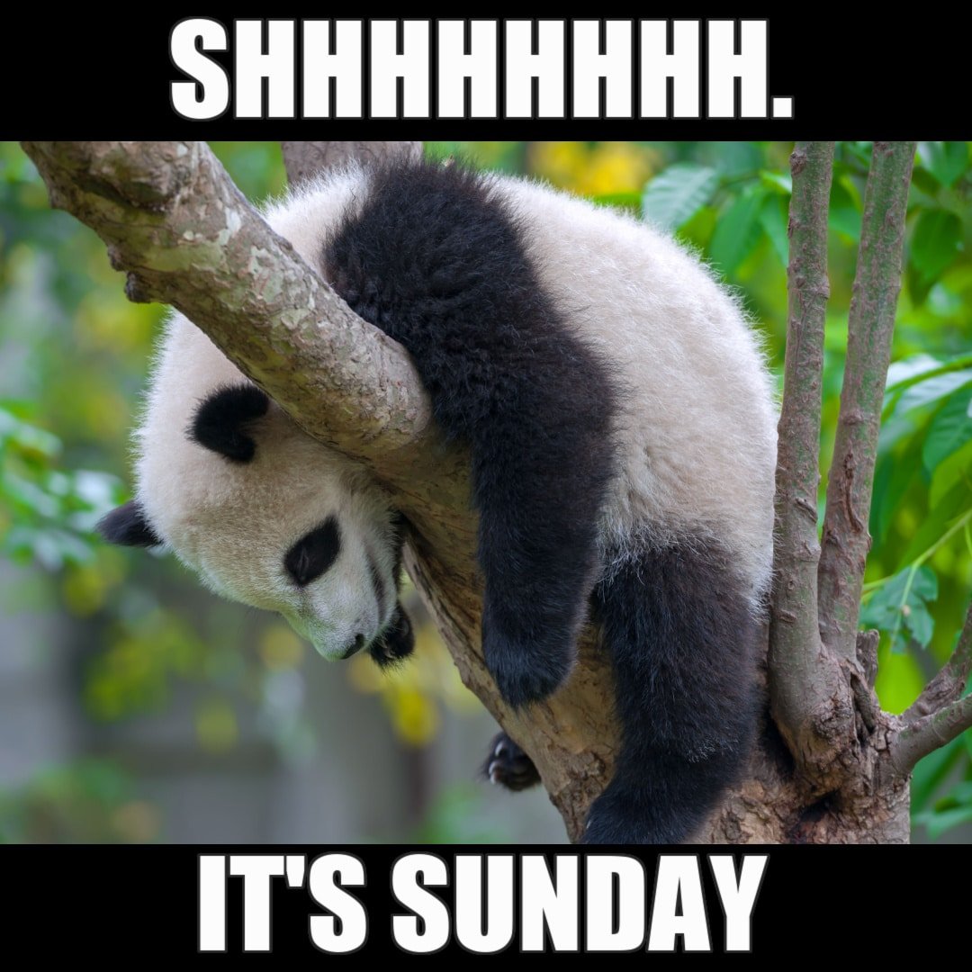 Sunday Meme - Quiet it's Sunday